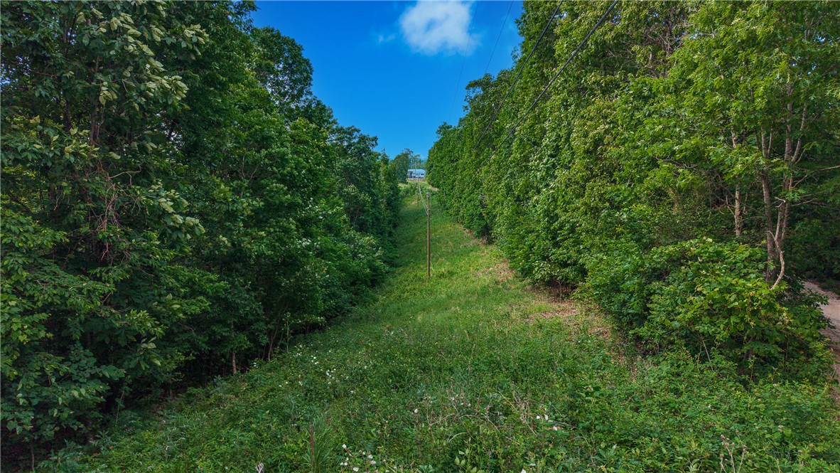 main property photo 24