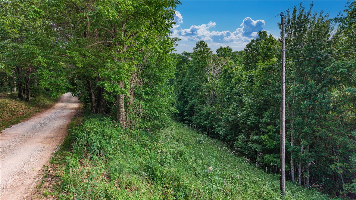 main property photo 28