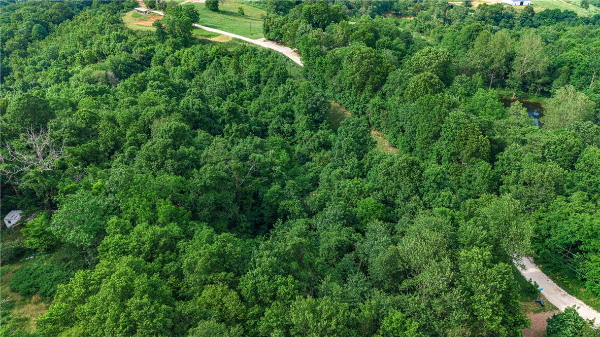 main property photo 42