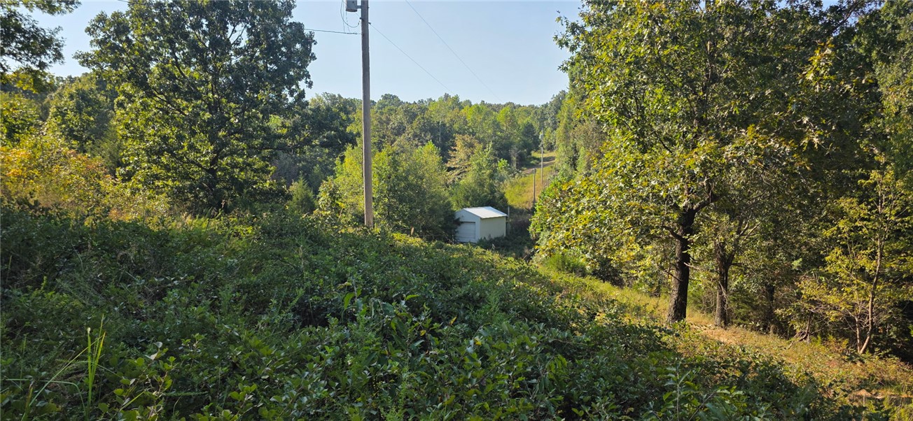 main property photo 32