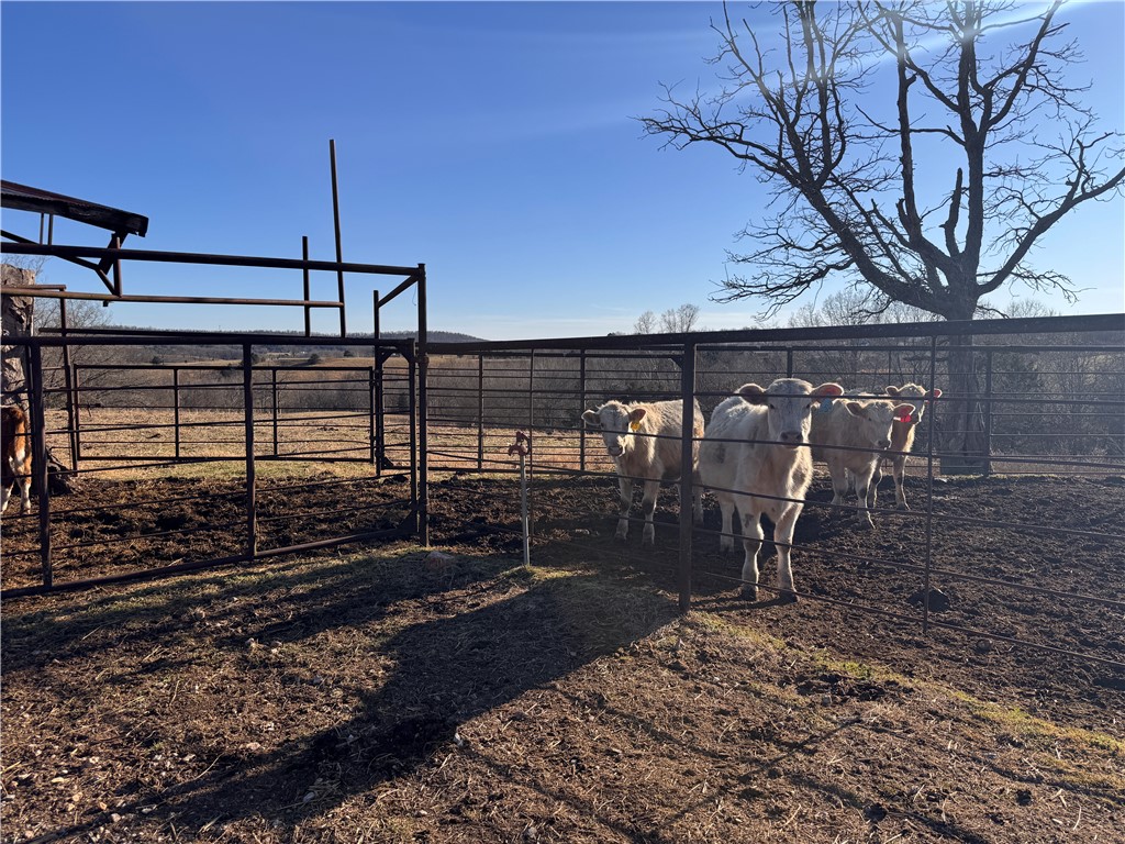 main property photo 36