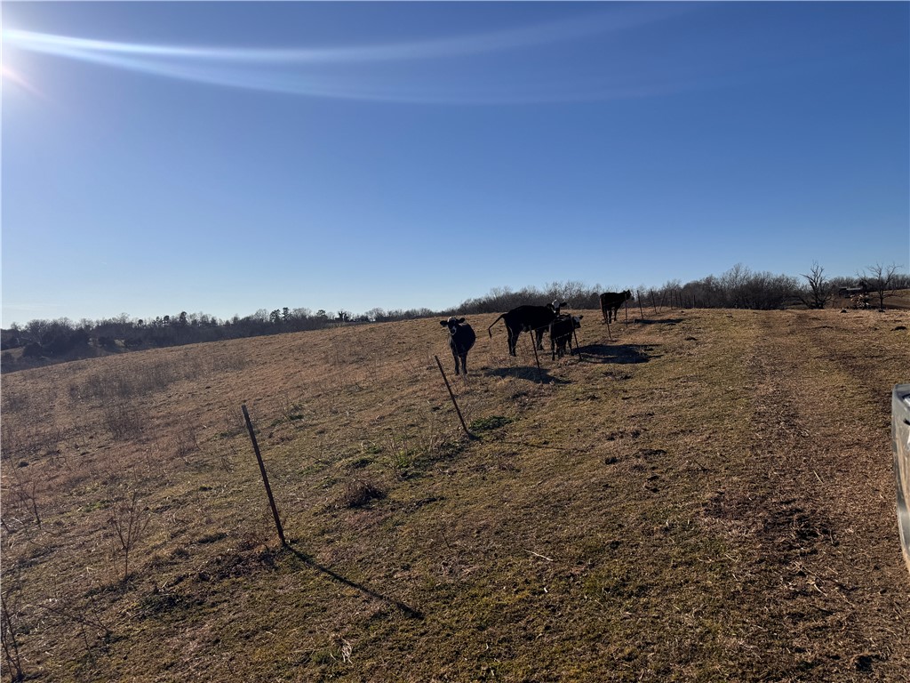 main property photo 41