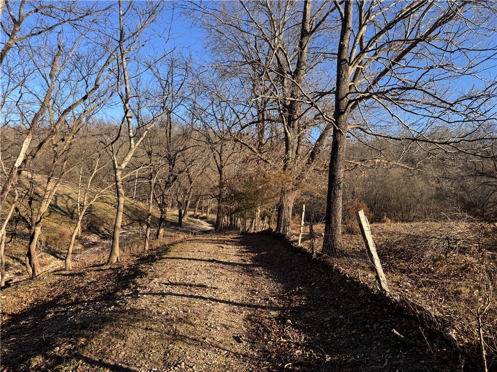 main property photo 48