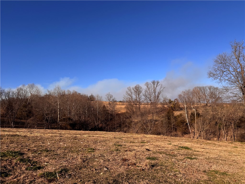 main property photo 54