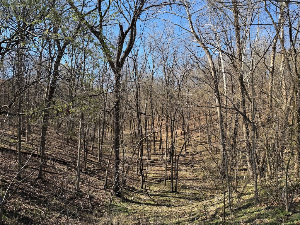 main property photo 55