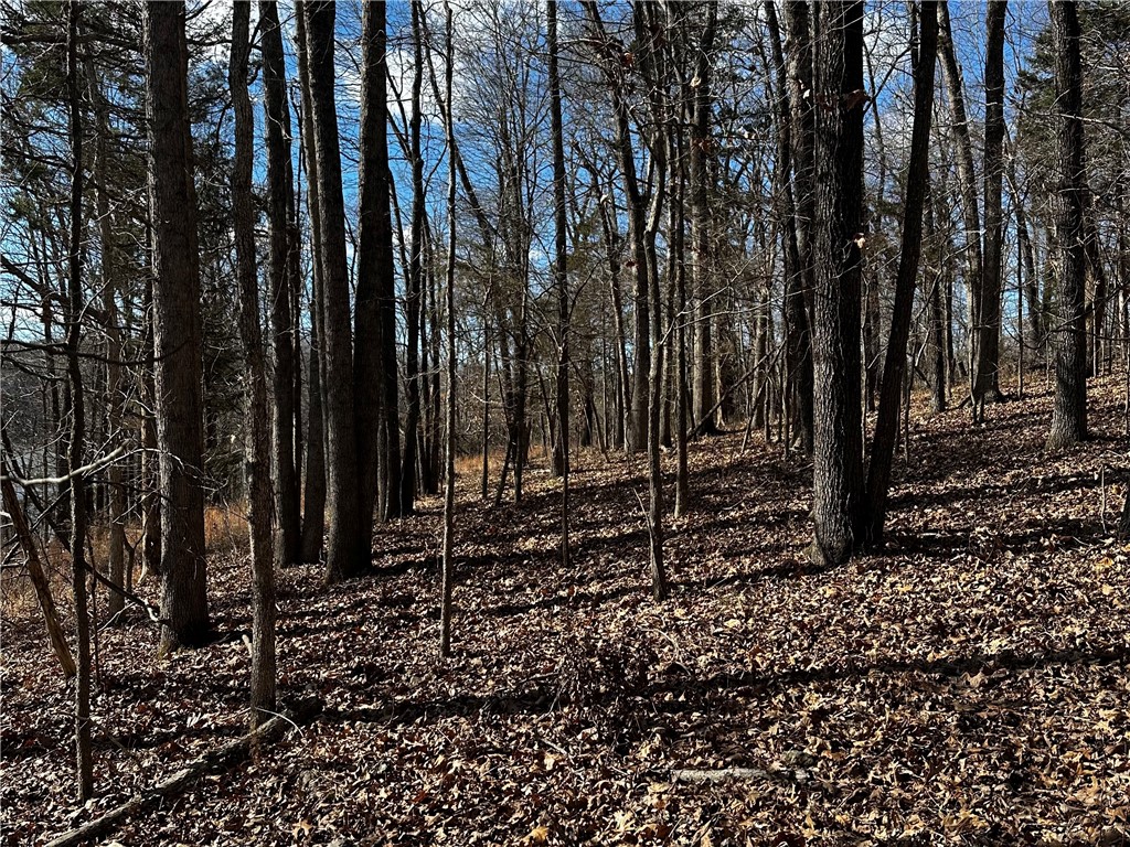 main property photo 24