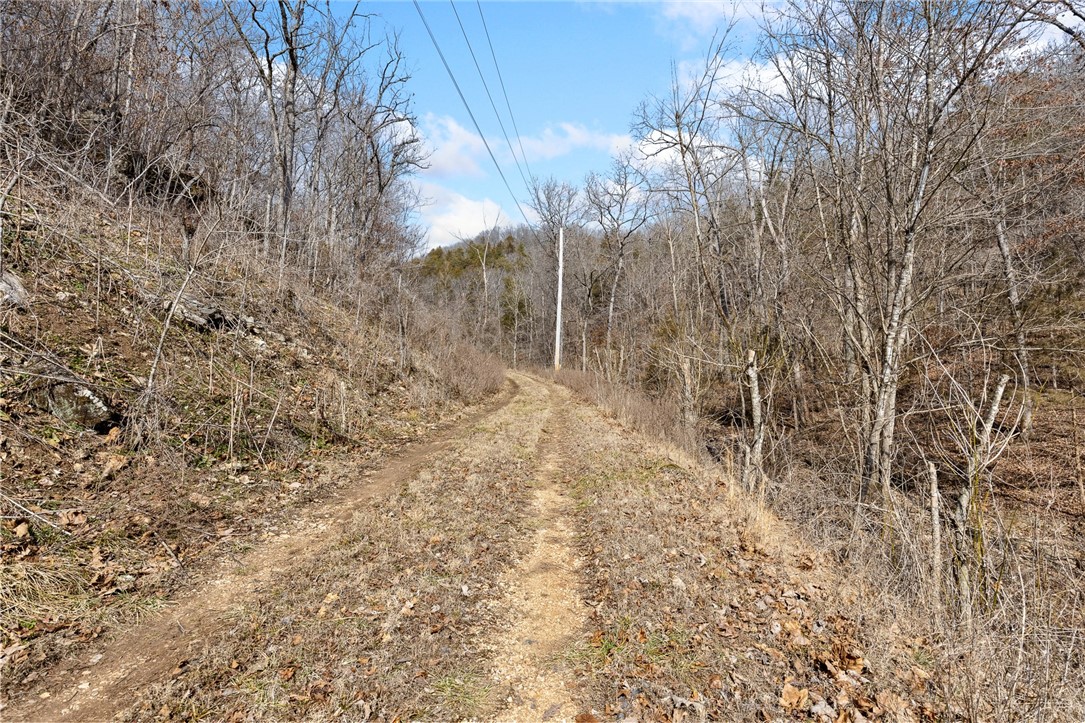 main property photo 13