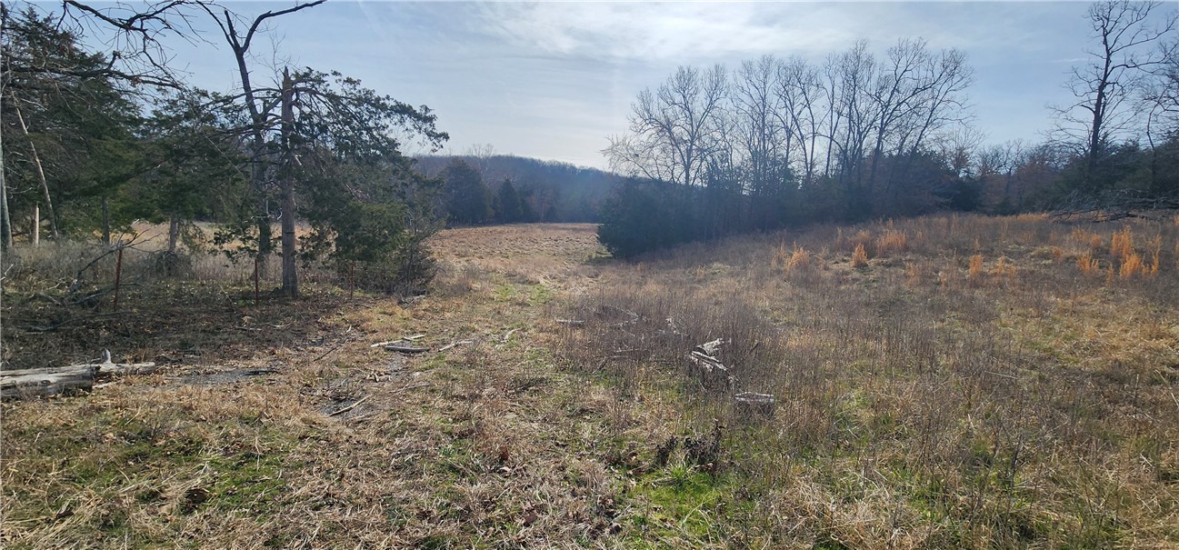 main property photo 36