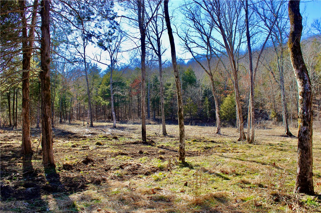 main property photo 18