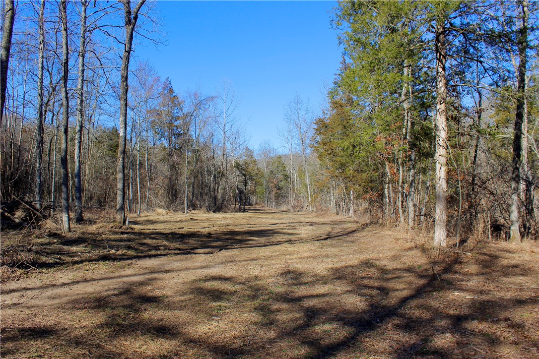 main property photo 25