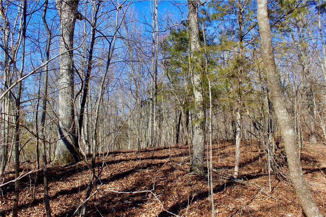 main property photo 27