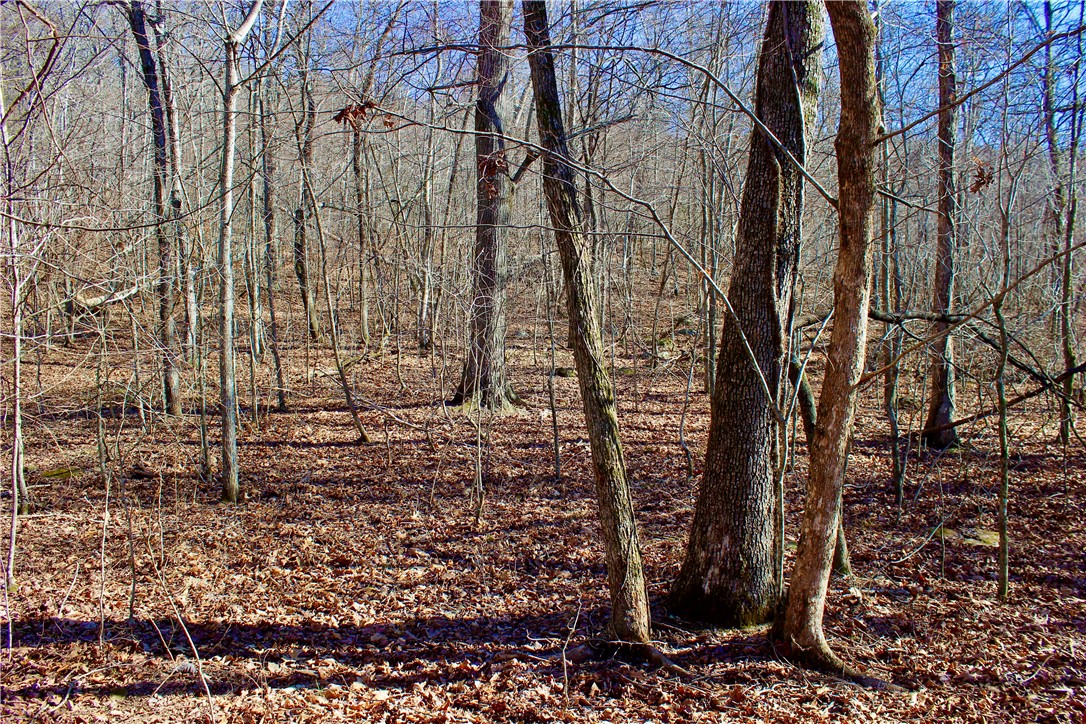 main property photo 29