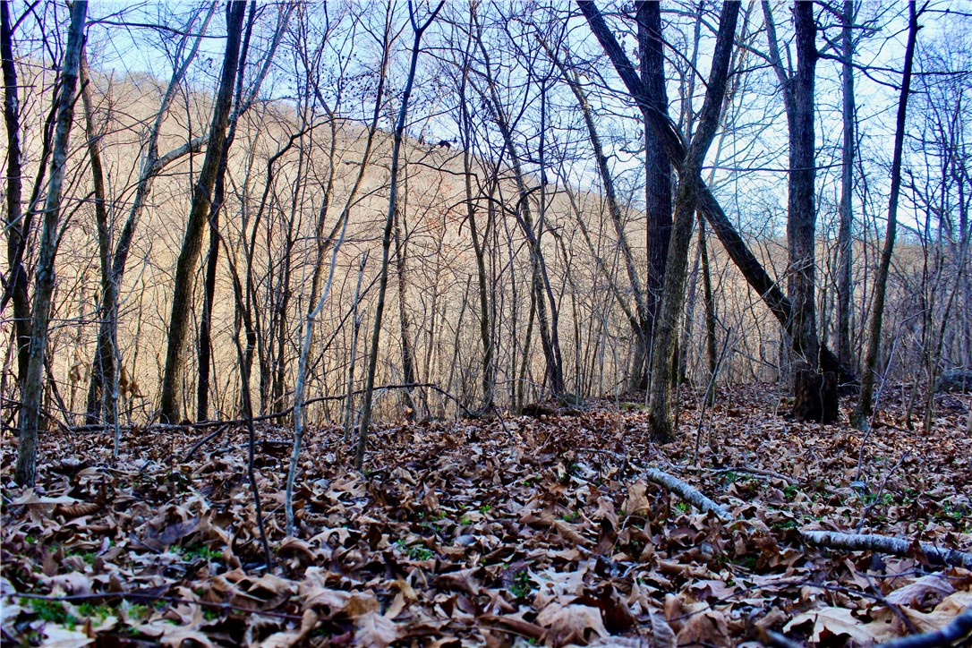main property photo 37