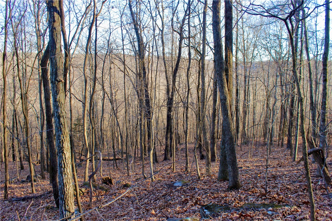 main property photo 50