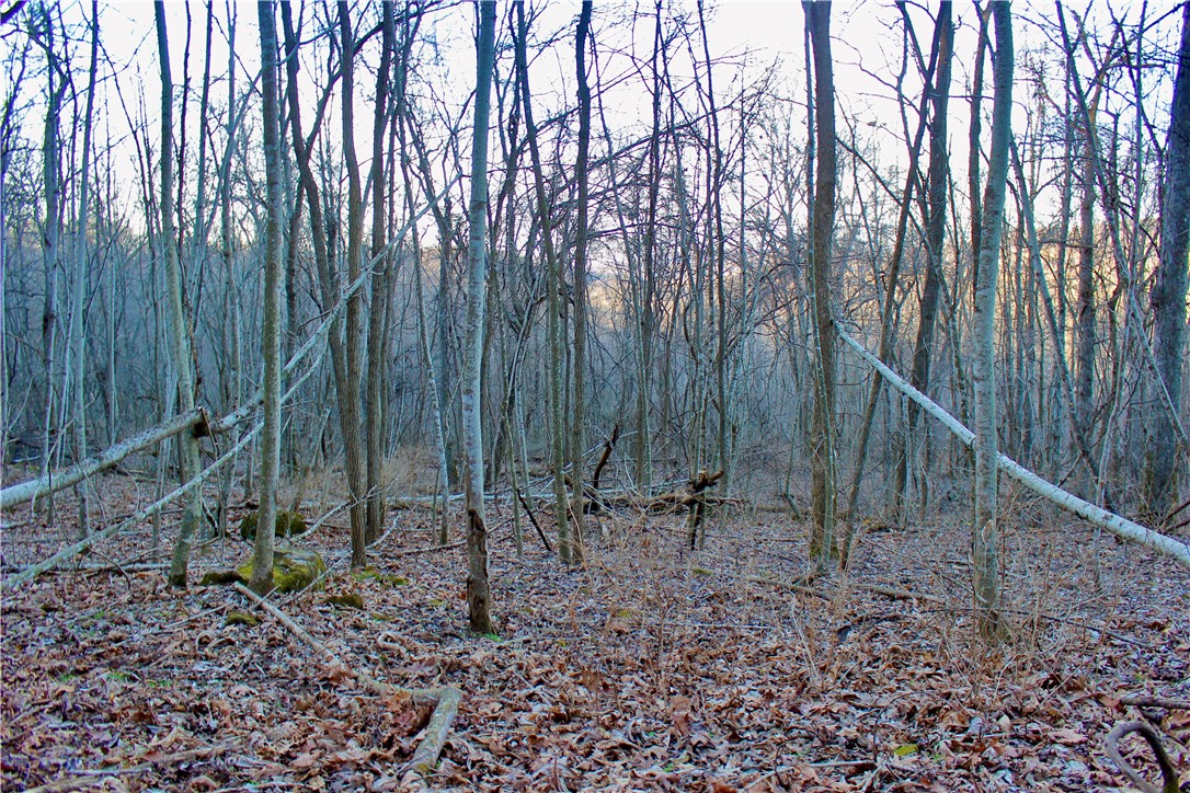 main property photo 54