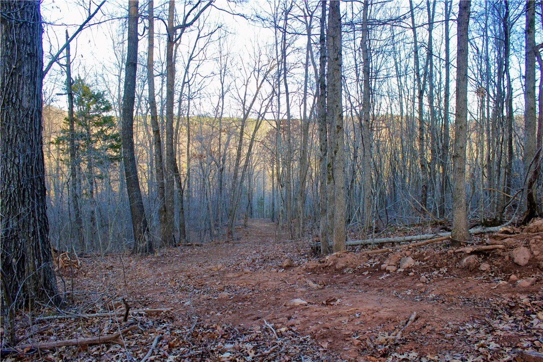main property photo 56