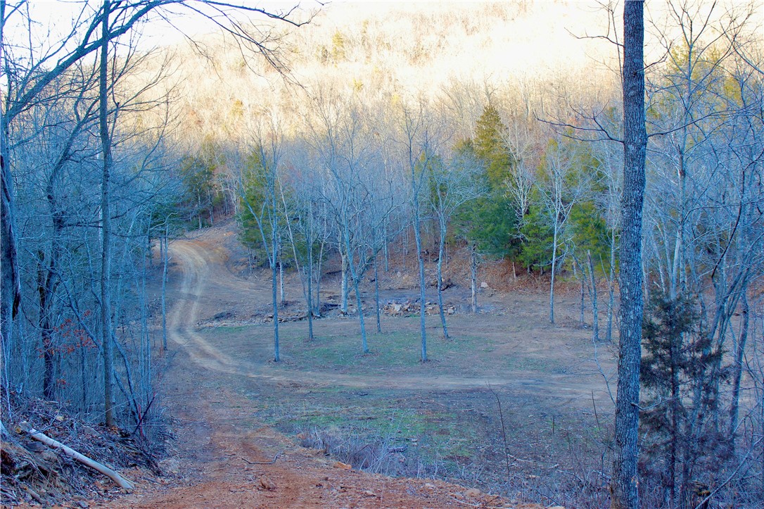 main property photo 57
