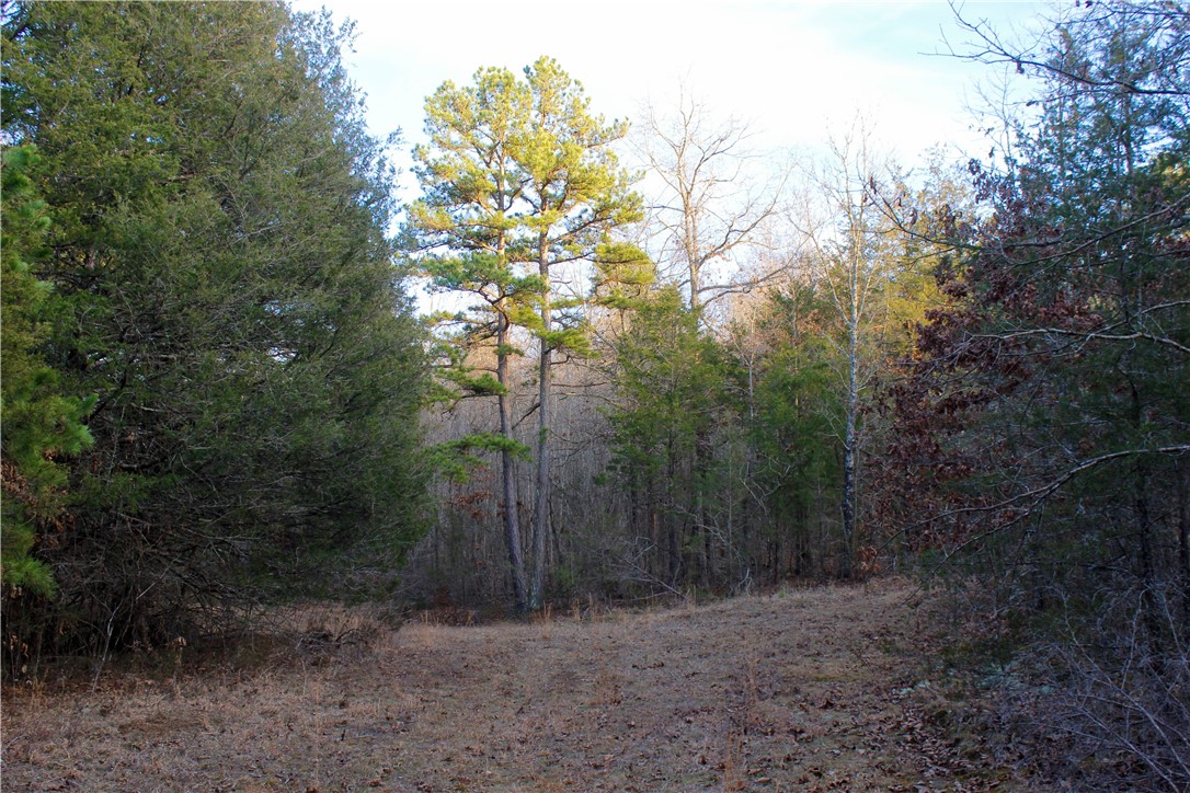 main property photo 58