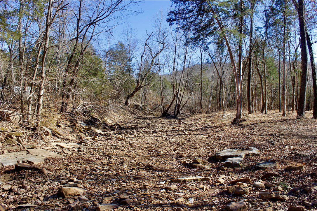 main property photo 9