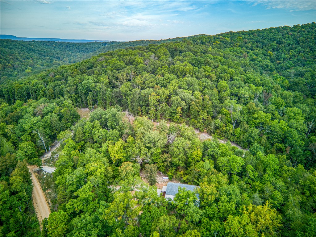 main property photo 42
