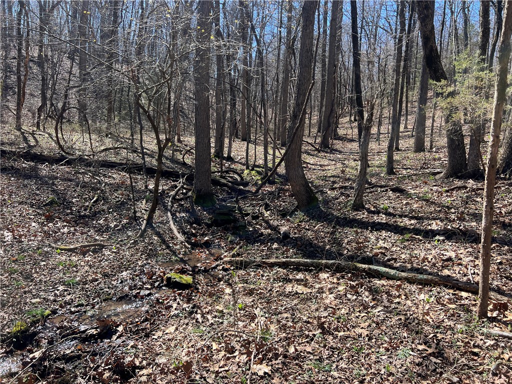 main property photo 32
