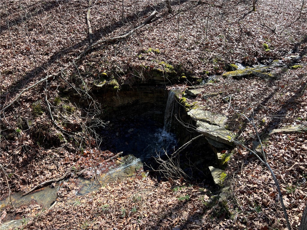 main property photo 39