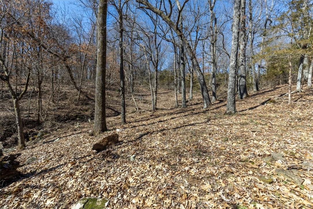 main property photo 27