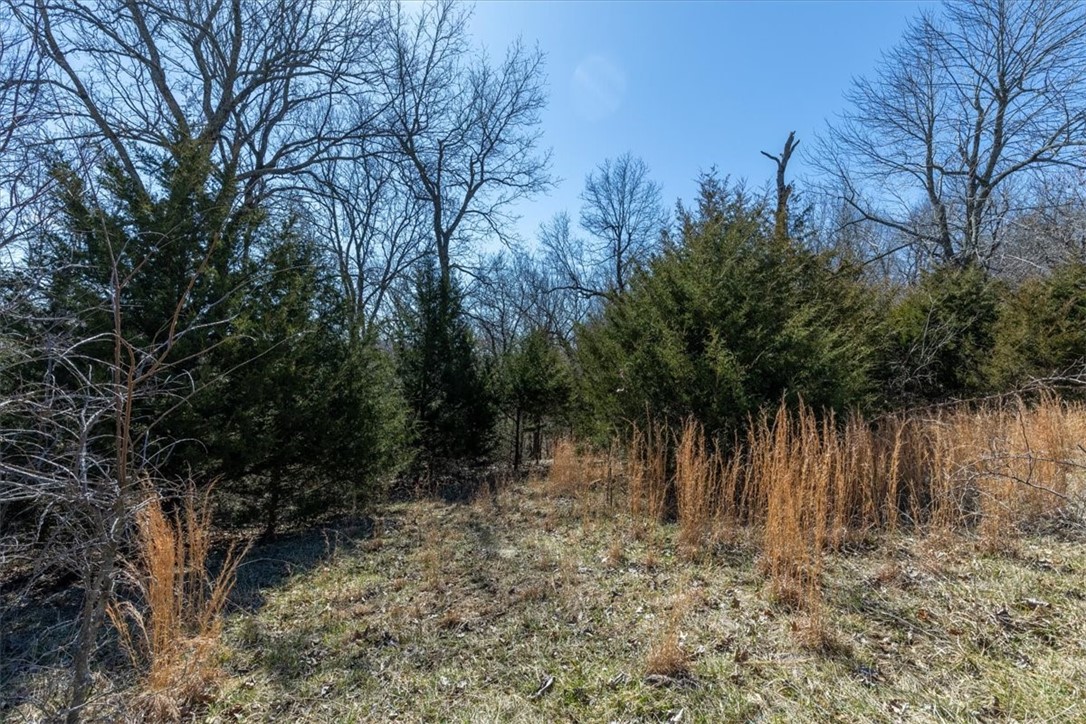 main property photo 26