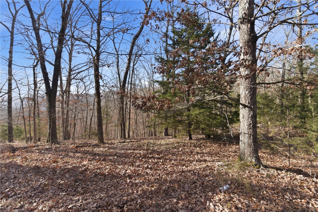 main property photo 19