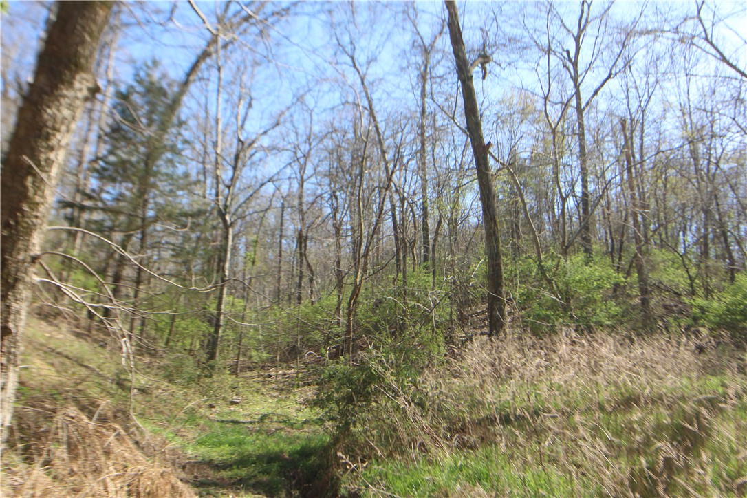 main property photo 16