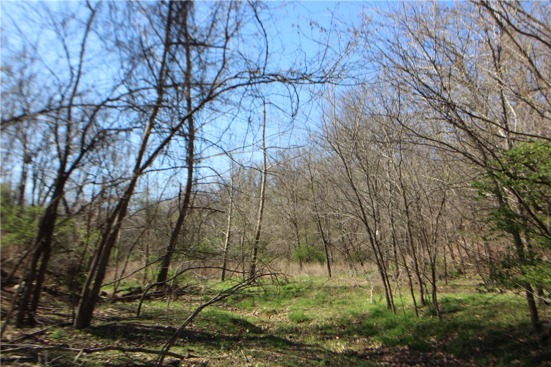 main property photo 19