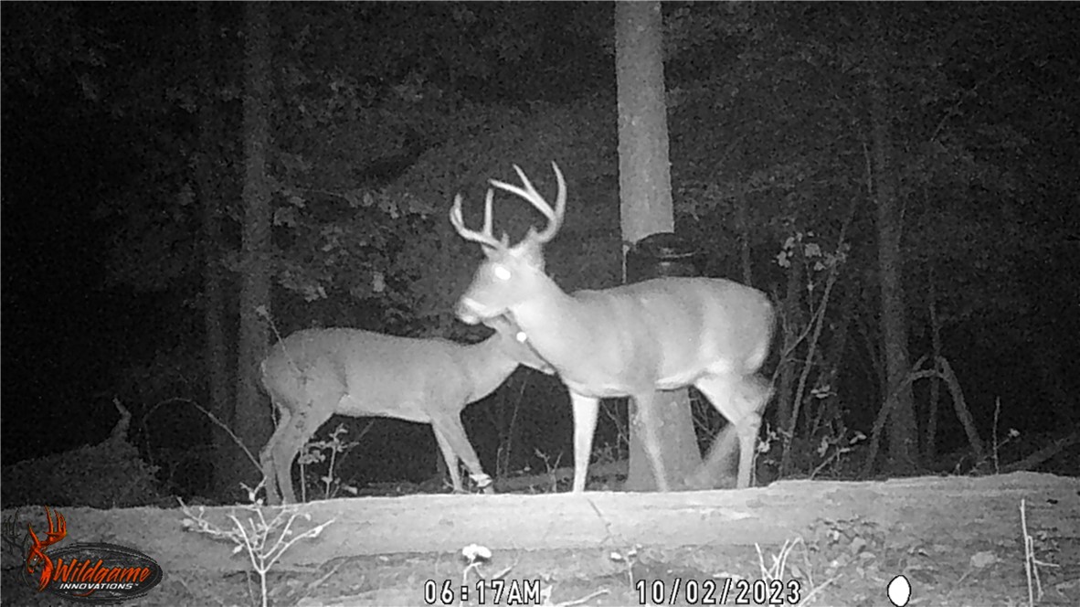 main property photo 55