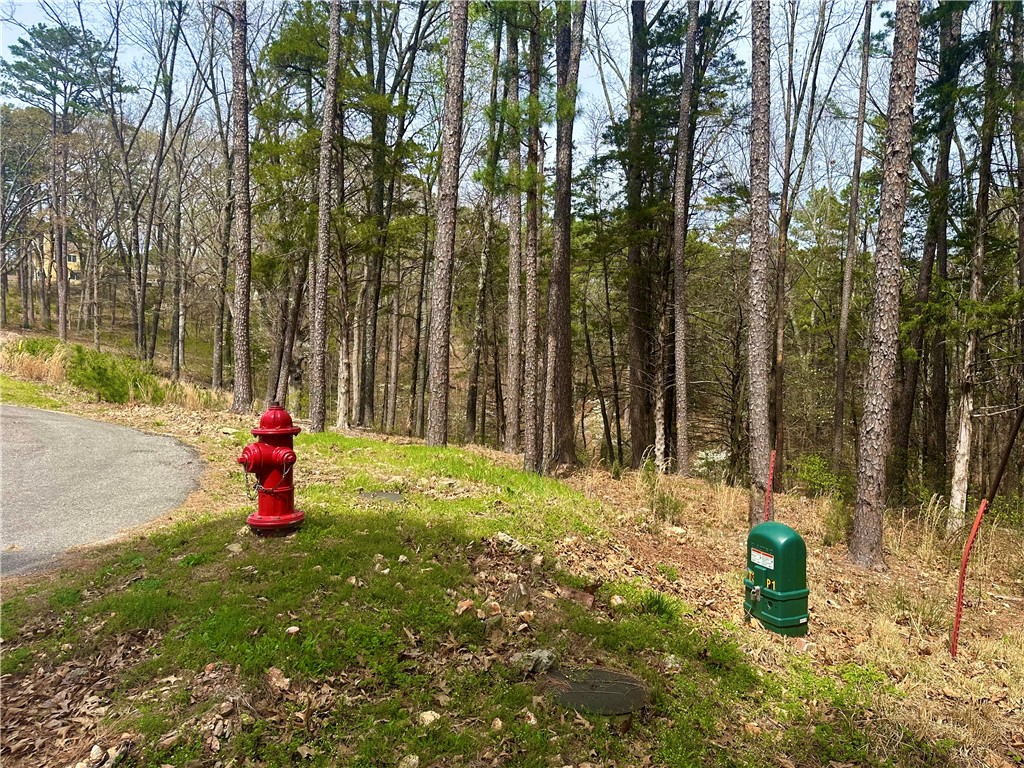 main property photo 10