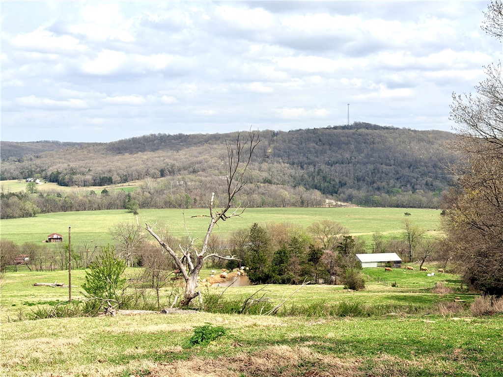 main property photo 11