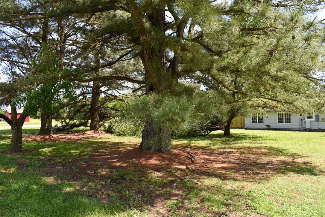 main property photo 54