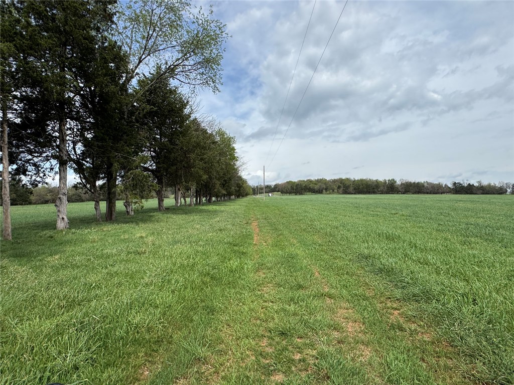 main property photo 10