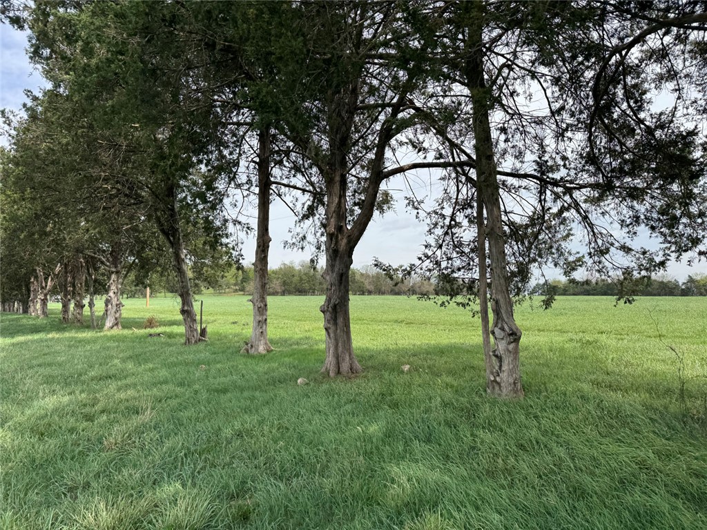 main property photo 11
