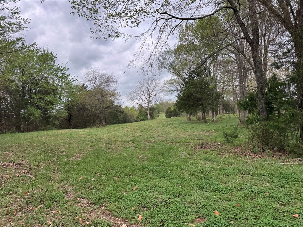 main property photo 38