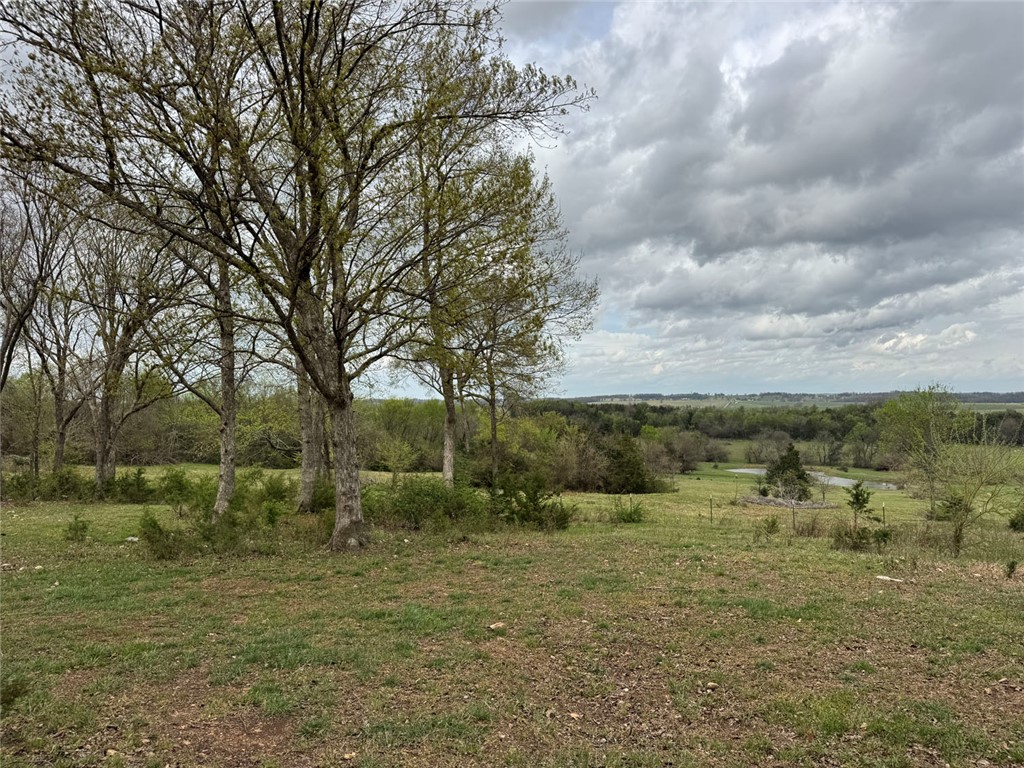 main property photo 42