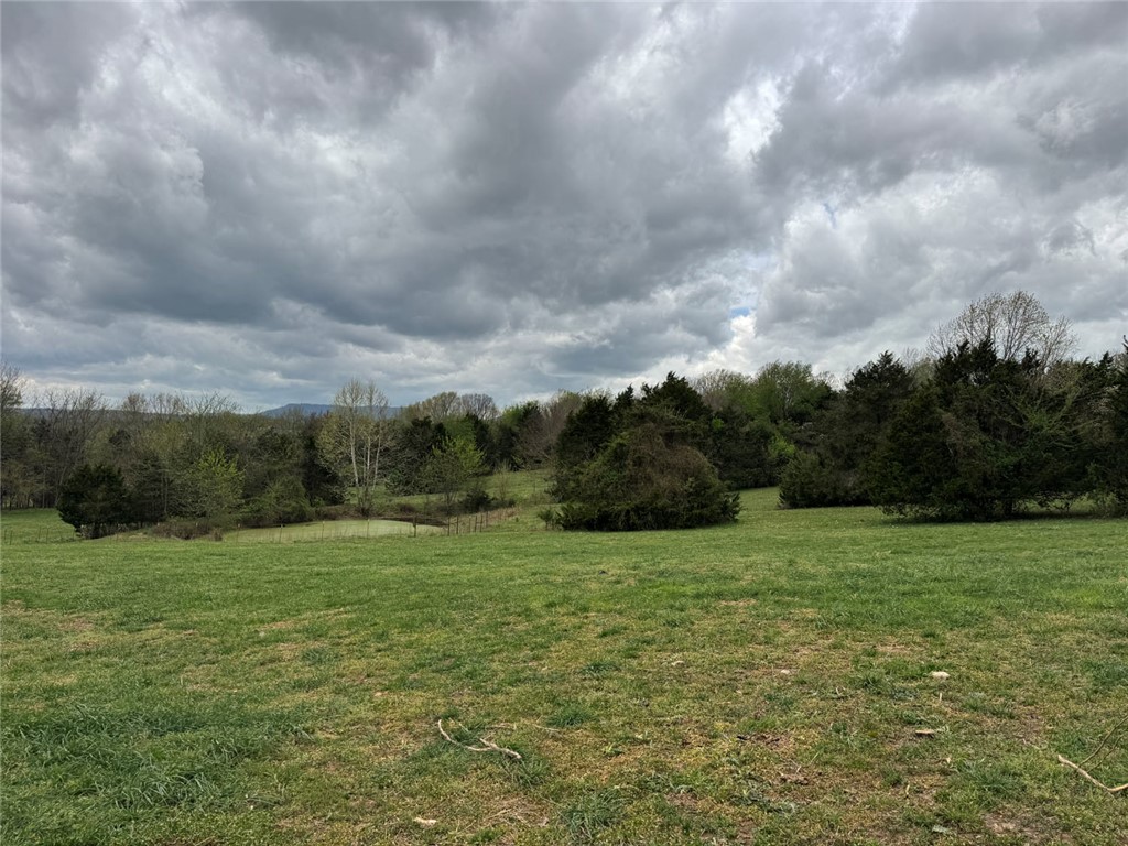 main property photo 43