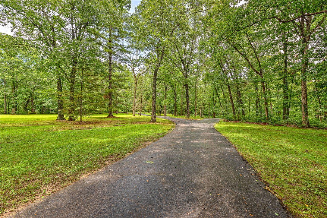 main property photo 58