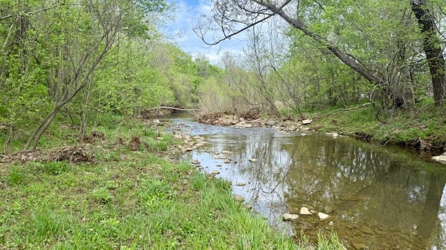 main property photo 42