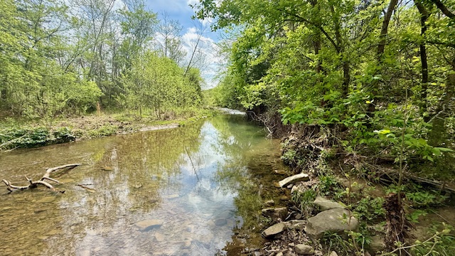 main property photo 45