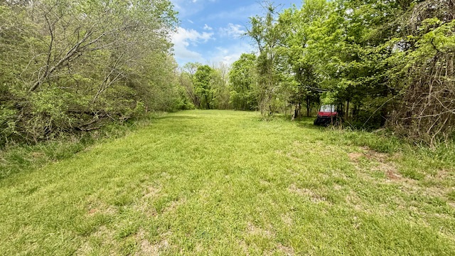main property photo 46