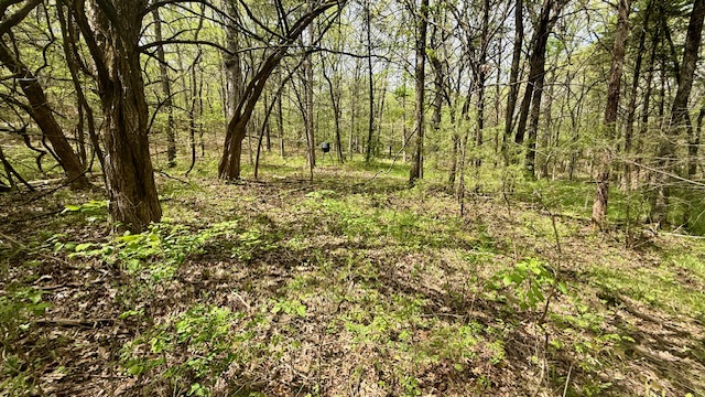 main property photo 49
