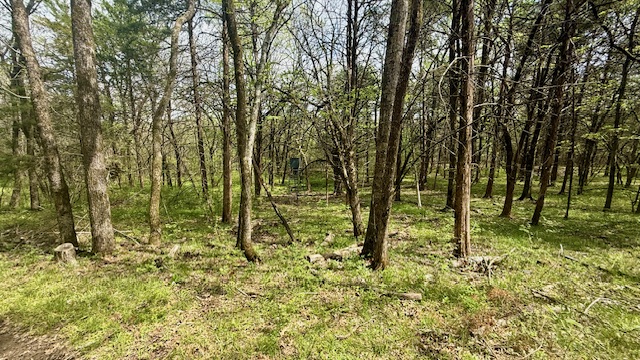 main property photo 50