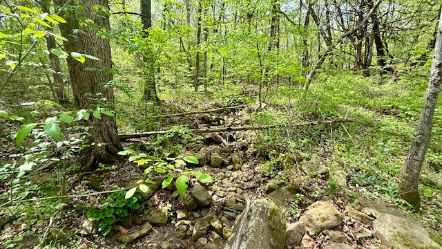 main property photo 51