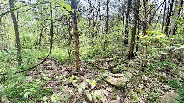 main property photo 52
