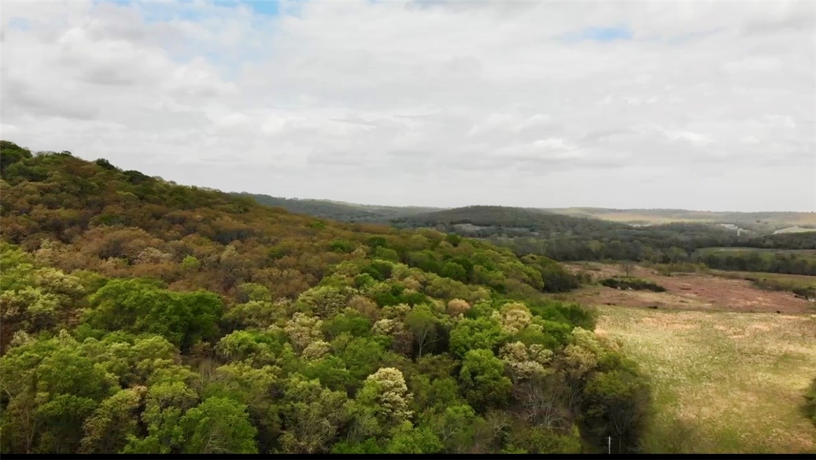 main property photo 58