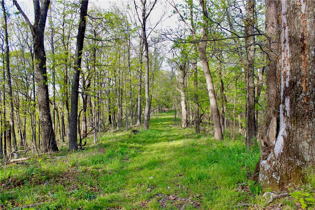 main property photo 27